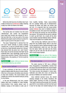 The Message of Islam Textbook: Level 4