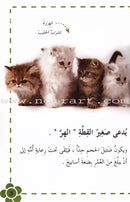 Useful Reading Series (Set of 3 Sets) القراءة المفيدة