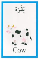 I Learn Arabic Cards (Set of Cards)