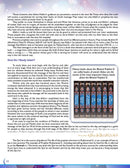 What Islam Is All About (12 Bulk Copies)