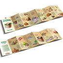 Footsteps of Muhammad (S): A Puzzle Adventure Following the Prophet's Life