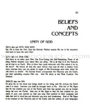 The Essence of Islam According to the Qur'an and Traditions (Paperback)