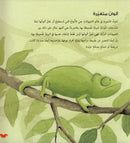 I Love To Know Series  (set of 4 Books) سلسلة أحب أن أعرف
