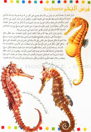 Encyclopedia of knowledge for young people  (My giant book ,Set of 25 Books) موسوعة المعرفة للناشئة  ,كتابي العملاق