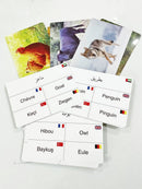 Animals Cards بطاقات الحيوانات