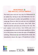 The Biography of the Noble Prophet (PBH) series (20 books)