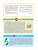 The Clear Quran - Tafsir For Kids (Set of 4 Books)