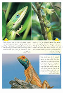 Amazing Animals of the World (8 books) حيوانات مدهشة في العالم