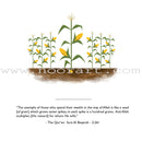 Ilyas and Duck (Set of 5 Books)