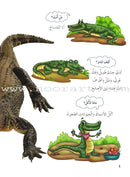 My First Questions and Answers Series سلسلة أسئلتي وأجوبتي الأولى