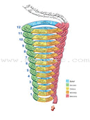 ICO Islamic Studies Teacher's Manual: Grade 5, Part 2