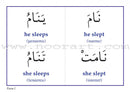 Gateway to Arabic Flashcards: Level 5