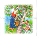 My Grandmother Nawara Tales (8 Books) حكايات جدتي نوارة