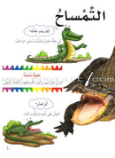 My First Questions and Answers Series سلسلة أسئلتي وأجوبتي الأولى