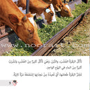 Let's Read and Discover Series (set of 5 books) سلسلة هيا نقرأ ونكتشف