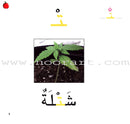 Ladder Reading Stories Box (28 Alphabets) قصص سلم القراءة داخل علبة