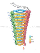 ICO Islamic Studies Textbook: Grade 6, Part 2 (With Access Code)