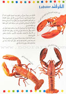 Encyclopedia of knowledge for young people  (My giant book ,Set of 25 Books) موسوعة المعرفة للناشئة  ,كتابي العملاق