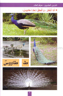 My Fun World Series (Set of 9 Books) عالمي الممتع