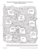 Quran and Sirah Story Mazes Gift Box (5 Books)