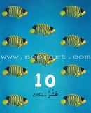 Numbers, Colors, and Shapes الأرقام والألوان والأشكال