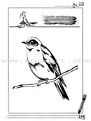 Arabic for Beginners (Set of 4 Books, The Printing Press) اللغة العربية للمبتدئين