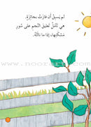 Graded Reading Series - Orange Group: Level 6 (set of 5 Books) سلسلة القراءة المتدرجة مجموعة اللون البرتقالي