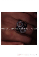 Arabic for Youth Teacher's Case: Level 2 العربية للشباب حقيبة المعلم