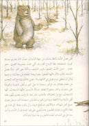 The Forest Mysteries Series (Set of 8 Books) سلسلة الغاز الغابة