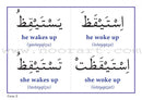 Gateway to Arabic Flashcards: Level 5