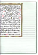 The Noble Qur'an with Margins for Note-Taking (9.5" X 7"), Colors May Vary