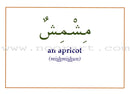 Gateway to Arabic Flashcards: Level 3