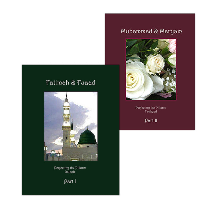 Perfecting the Pillars (Set of 2 Books)