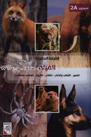 Useful Reading Series (Set of 3 Sets) القراءة المفيدة