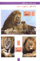 My Fun World Series (Set of 9 Books) عالمي الممتع