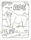 14 More Animals in the Quran: Activity & Coloring  - Part 2