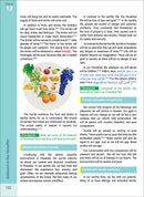 The Message of Islam Textbook: Level 4