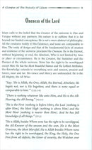 A Glimpse at the Beauty of Islam