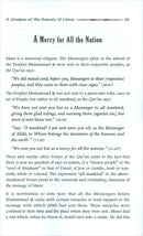 A Glimpse at the Beauty of Islam