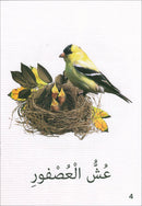 The Reading Tree Series: Beginner Level, Group 1 (Set of 10 Books) سلسلة شجرة القراءة