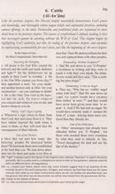 The Clear Quran (A Thematic English Translation) (8.4' x 5.8') 10 copies