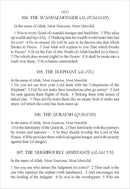 The Holy Quran (Medium Size, Paperback) – Translation by Abdullah Yusuf Ali