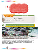 I Love Islam Textbook: Level 5 (Second Edition)