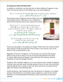 Health and Wellness: From an Islamic Perspective - Level 2