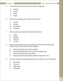 The Message of Islam Workbook: Level 2