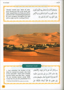 The Clear Quran - Tafsir for Kids (Surahs 29-48, Volume 3)
