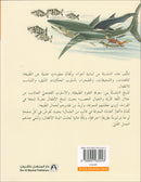 The Forest Mysteries Series (Set of 8 Books) سلسلة الغاز الغابة