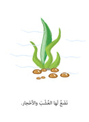 21st Century Skills Series (Set of 8 Books) سلسلة مهارات القرن الحادي والعشرين