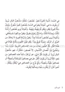 Step by Step Stories - In the Sky: Level 5 (3 Books) قصص خطوة خطوة