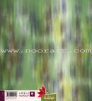 Have Fun Series - Butterfly Level 2 (10 Books) سلسلة امرح- سلسلة الفراشة